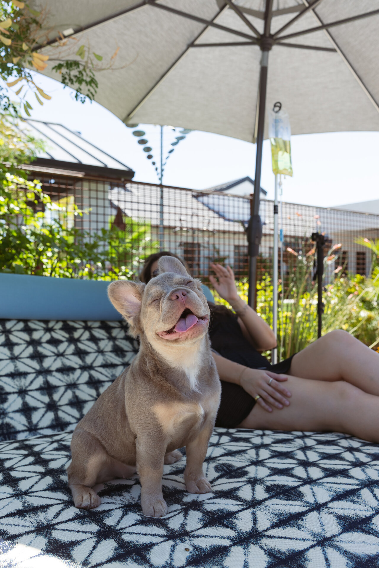 Organized home spaces